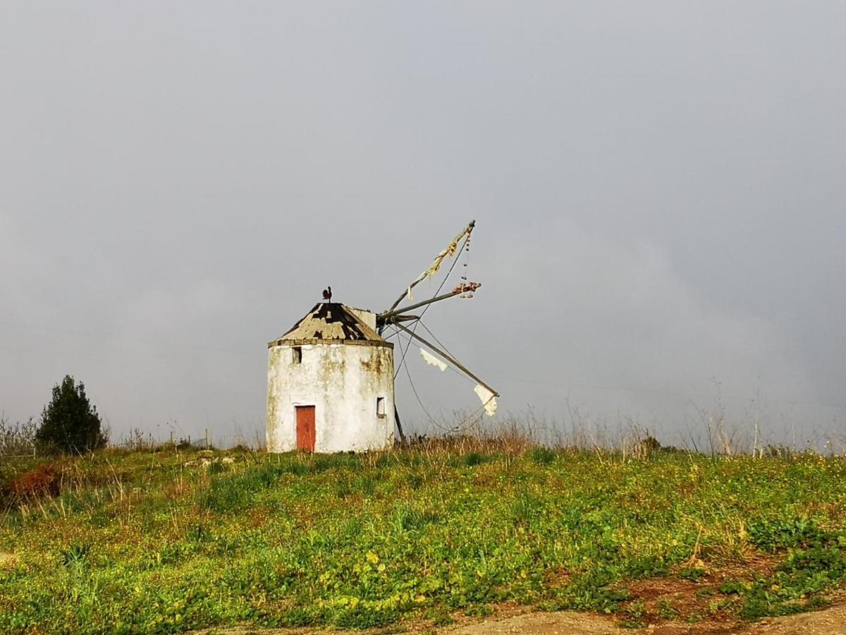Feather House São Bartolomeu المظهر الخارجي الصورة